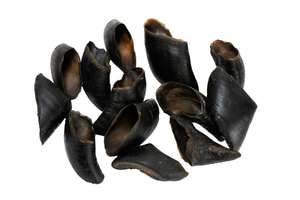 Palitos de Cuerno Secos Naturales Orgánicos Hechos a Mano, Ecológicos y Duraderos, a Bajo Precio, para Perros, Snack Resistente para Cachorros y Perros Agresivos - Product Image 3