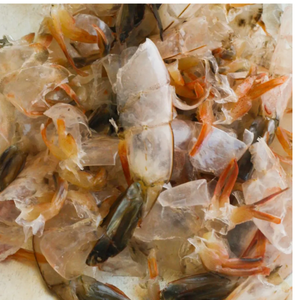 CREVETTES SÉCHÉES/COQUILLE DE HOMARD DU VIETNAM À VENDRE (GRANDE QUANTITÉ) - Product Image 5