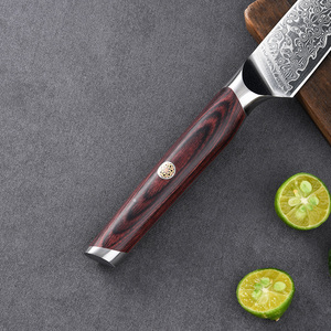 Mayorista Personalizado OEM ODM Cubiertos Fábrica Profesional Japonesa Cocina Damasco Cuchillo de utilidad Cuchillo de fruta para uso en la cocina - Product Image 6