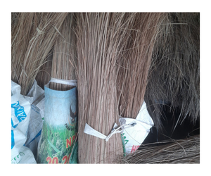 Palo de escoba de coco de venta al por mayor vietnamita superior de fábrica listo para exportar con precio barato-la mejor opción de 99 GD - Product Image 2