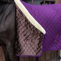 Tapis d'exposition Kentucky 160g-Violet royal