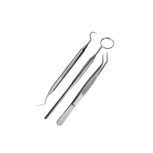 Kit de examen dental Juego de cuidado dental de 6 piezas Herramientas de acero inoxidable Manual Ligero Aprobado por el dentista Higiene bucal Uso doméstico - Product Image 5