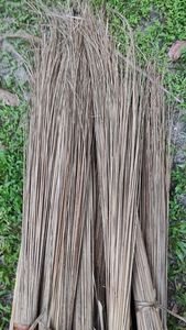 PALOS DE ESCOBA DE COCO DE VIETNAM-Los mejores productos que venden 2025 a granel para limpiar la casa-Venta caliente palo de escoba de coco - Product Image 4