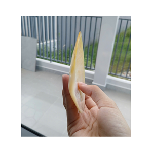 Cuchara de concha marina hecha a mano, hecha de nácar natural para sal, caviar, condimento, decoración para servir, suministro al por mayor a granel - Product Image 6