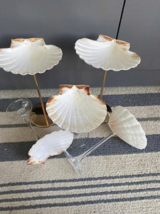 Concha de vidrio para regalos, concha marina duradera, busca casas elegantes, perfectas para exportación y uso de decoración - Product Image 4