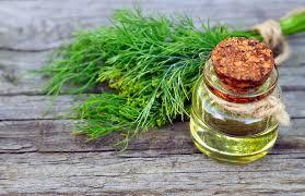 น้ำมันเมล็ดผักชีลาวน้ำมันออร์แกนิกบริสุทธิ์และ100% จากธรรมชาติผู้ผลิตที่เชื่อถือได้ส่งออกคุณภาพสูงจากอินเดีย - Product Image 5