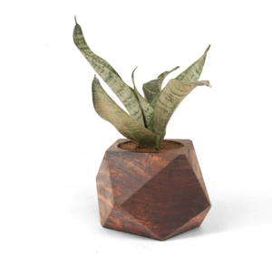 Jardinière en bois au design unique Pot Décoration de table et accessoires Décoration de la maison Pots de fleurs artisanaux rustiques - Product Image 3