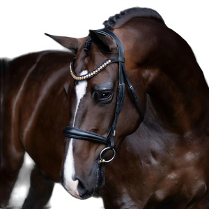 Athènes Champagne Or Cristal Bride pour Chevaux Gel Rembourré Cavesson Noseband and and Snaffle Stylish Brow Band - Product Image 1