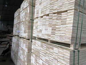 Madera Contrachapada de Eucalipto (LVL) para Uso en Interiores, Espesor 11 mm 120 mm - Product Image 5