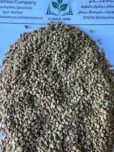Semillas de Fenogreco de Primera Calidad, Nueva Cosecha, Hierba Picante, Secadas al Sol en Gránulos, Producto Agrícola Crudo, Procesado en Estado Seco - Product Image 2