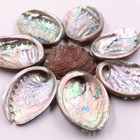 Offre Spéciale de haute qualité artisanat naturel poli ORMEAU COQUILLAGES pour la décoration de la maison
