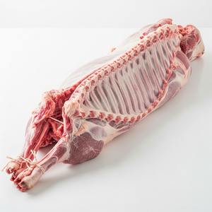Best Price Frozen Full Lamb Carcass Bulk Supply High Quality Frozen <b>Meat</b> Ready for Export with Fast Reliable Delivery - Product Image 6