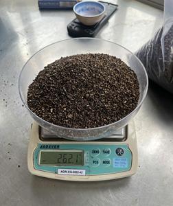 Herbe de poivre noir vietnamien sec à épice unique de qualité supérieure crue pour la santé cardiaque grand stock processus de séchage avancé - Product Image 2