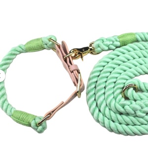 Collier de chien menthe corde verte collier de chien et ensemble collier de chien en cuir collier menthe - Product Image 1