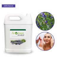 Hydrolat d'hysope 100% pur, eau florale liquide, feuilles, hydrodistillation, modèle OBM AI-HY-6015, origine Europe du Sud, Asie