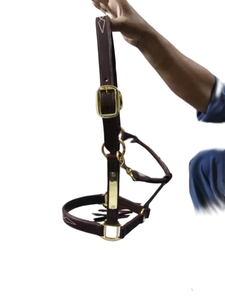 Tailles personnalisables Licou de cheval en cuir de style selle anglaise de haute qualité avec boucles en étain plomb inclus - Product Image 5