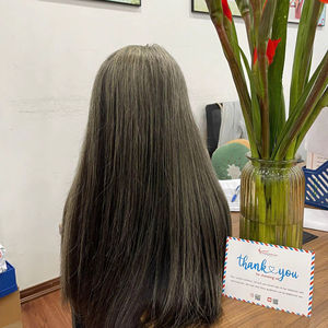 Peluca de cabello natural color gris, peluca de cabello humano más vendida, peluca con cierre de encaje medio, lisa para mujeres, estilo suave, proveedor de cabello virgen - Product Image 1