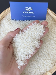 ข้าวไวลาโคนิค คาลโรส เมล็ดกลาง สีขาว ข้าวแห้ง เนื้อนุ่ม ผลิตจากเวียดนาม ข้าวใหม่ ลินดา - Product Image 4
