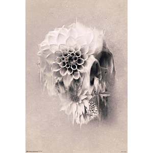 Póster de Calavera Decadente de Ali Glec para Decoración de Pared - Product Image 5