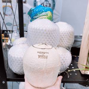 La fraîcheur des noix de coco cueillies à la main de qualité supérieure dévoilée-Shell vous est livrée directement - Product Image 5