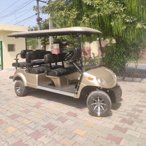 Chariot électrique Resort 6 places - Product Image 1