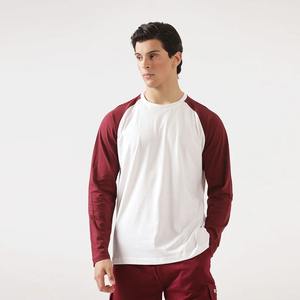 Luxe 100% coton biologique hommes à manches raglan t-shirts respirant uni logo personnalisé à manches longues surdimensionné lourd t-shirt - Product Image 3