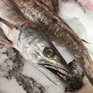 Acheter des filets de merlu congelés Poisson de merlu du Pacifique Qualité supérieure Poisson de merlu entier Livraison rapide Fruits de mer frais pour cuisiner à la maison - Product Image 3