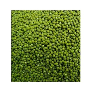 Haricots mungo de haute qualité en gros, 3,8 mm, grande taille, haricots Vigna, haricots mungo verts pour germination - Product Image 4