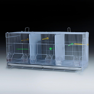 Cage à oiseaux dorée promotionnelle boîte à cils porte-vêtements doré nourriture géante cage à <span class=keywords><strong>pigeon</strong></span> en acier inoxydable <span class=keywords><strong>pigeon</strong></span> de course - Product Image 2