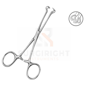 Fórceps de tejido Premium Alli de Five Venered Surgical Greenhalgh Ovum Forceps 240mm Fuente de alimentación manual de Surgiright Instruments - Product Image 5
