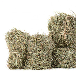 ก้อนหญ้าแห้งสำหรับลูกวัวปลาสุนัขหมูม้าอาหารสัตว์จากปากีสถาน - Product Image 3
