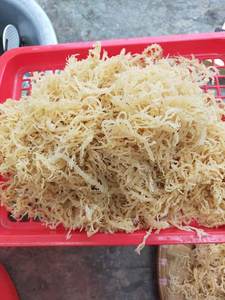 Mousses marines séchées aromatisées et assaisonnées 100% naturelles Eucheuma Cottonii en sachet, bon pour les humains, Mme Serena - Product Image 4