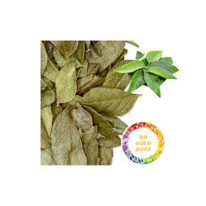 Feuilles de curry séchées en vrac au prix d'usine, arôme intense, qualité pure, meilleures offres de gros du Vietnam - Product Image 1