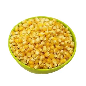 Alimentación de maíz amarillo para animales, calidad superior, verduras secas y liofilizadas, maíz dulce a granel, precio al por mayor