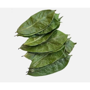 Hojas de Guanábana secas naturales, Guanábana, té para mujer, mezcla de hierbas naturales, Hojas de Guanábana orgánica 100% - Product Image 2