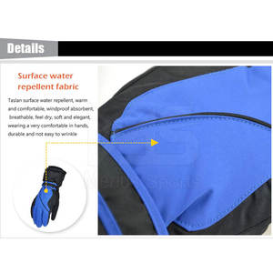 Hot Selling Custom Size Ski <b>Gloves</b> with New Logo Design Best Price Ski <b>Gloves</b> - Product Image 2