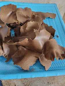 เค้กน้ำมันถั่วลิสงเกรดอาหารสัตว์ สีน้ำตาล จากฝรั่งเศส สำหรับใช้กับปลา ม้า สุกร สุนัข และโค - Product Image 2