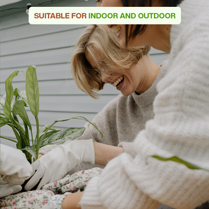 กระถางฟักทองขนาด6นิ้วพร้อมถาดสำหรับตกแต่งหมู่บ้าน - Product Image 4