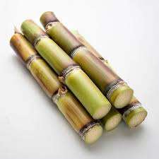 CAÑA DE AZÚCAR CONGELADA DULCE DE VIETNAM | EMBALAJE OEM | PRECIO DIRECTO DE FABRICA | VDELTA - Product Image 6