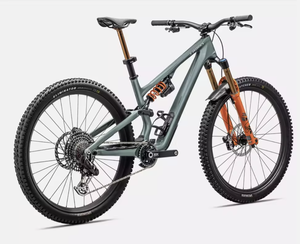 2025 S-Workss Stumpjumper 15 LTD Complete Mountain Trail <b>Bike</b> - Product Image 3
