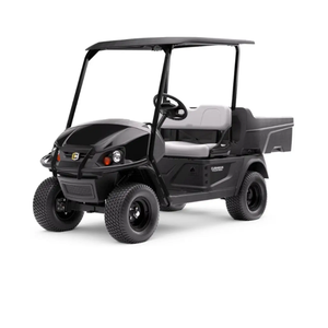 Voiturette de golf à essence 2 places, couleur noire, autonomie 50-70 km - Product Image 1