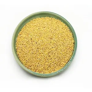 Affordable Factory Dry Yellow Millet For Wholesales Price