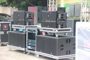 Loa Mảng Dây Loa Mảng 2 Chiều 10 Inch Loa Mảng Hệ Thống Âm Thanh Mảng Dây - Product Image 4