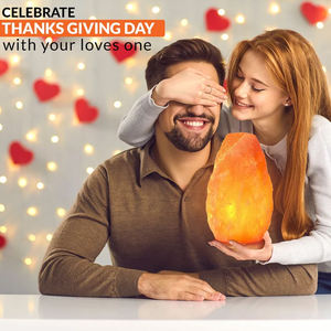 Lámpara de sal del Himalaya tallada de calidad superior de IMPEX PAKISTAN, la mejor tarifa al por mayor para decoración del hogar, último producto - Product Image 6