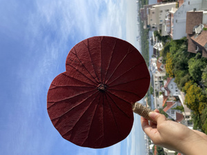 พัดใบบัวงานฝีมือช่างฝีมือชาวเวียดนาม | ของขวัญแฮนด์เมดแบบดั้งเดิม | ของที่ระลึกงานฝีมือที่ยั่งยืน - Product Image 5