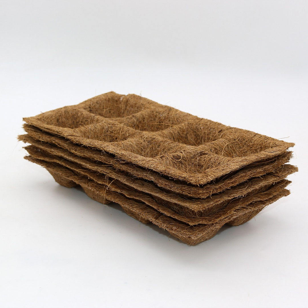 ธรรมชาติ