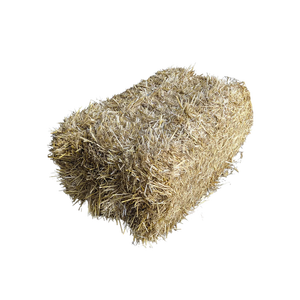 Bulk supply of <b>barley</b> straw for wholesale fast processing secure shipment - Product Image 1