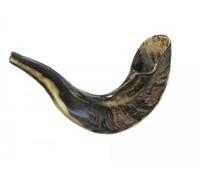 Shofar en corne de mouton polie de qualité supérieure, artisanat religieux naturel, instrument de musique, son étanche, vente en gros