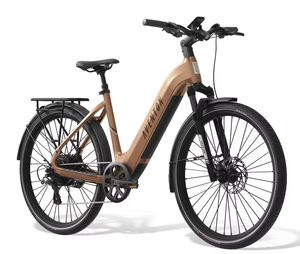 ACHETEZ EN TOUTE SÉCURITÉ Vélo électrique à enjambement bas de niveau 3 ORIGINAL |   Garantie de 3 ans - Product Image 5