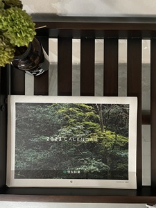 Étagère moderne et minimaliste en MDF à 3 niveaux, bibliothèque en bois pour bureau à domicile, présentoir pour plantes, étagère de rangement, meubles de salon - Product Image 5